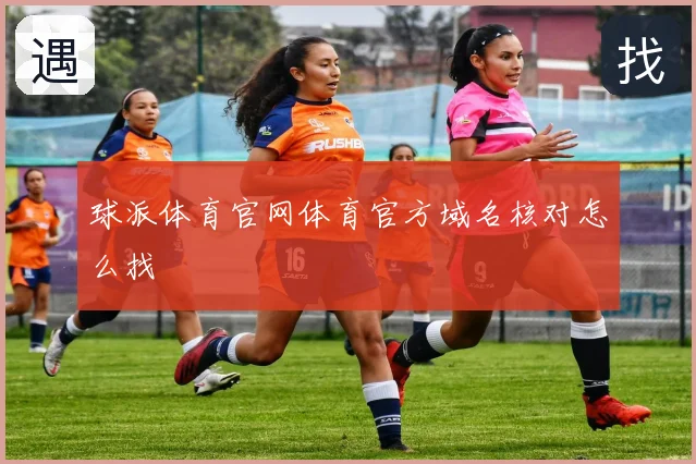 球派体育官网体育官方域名核对怎么找